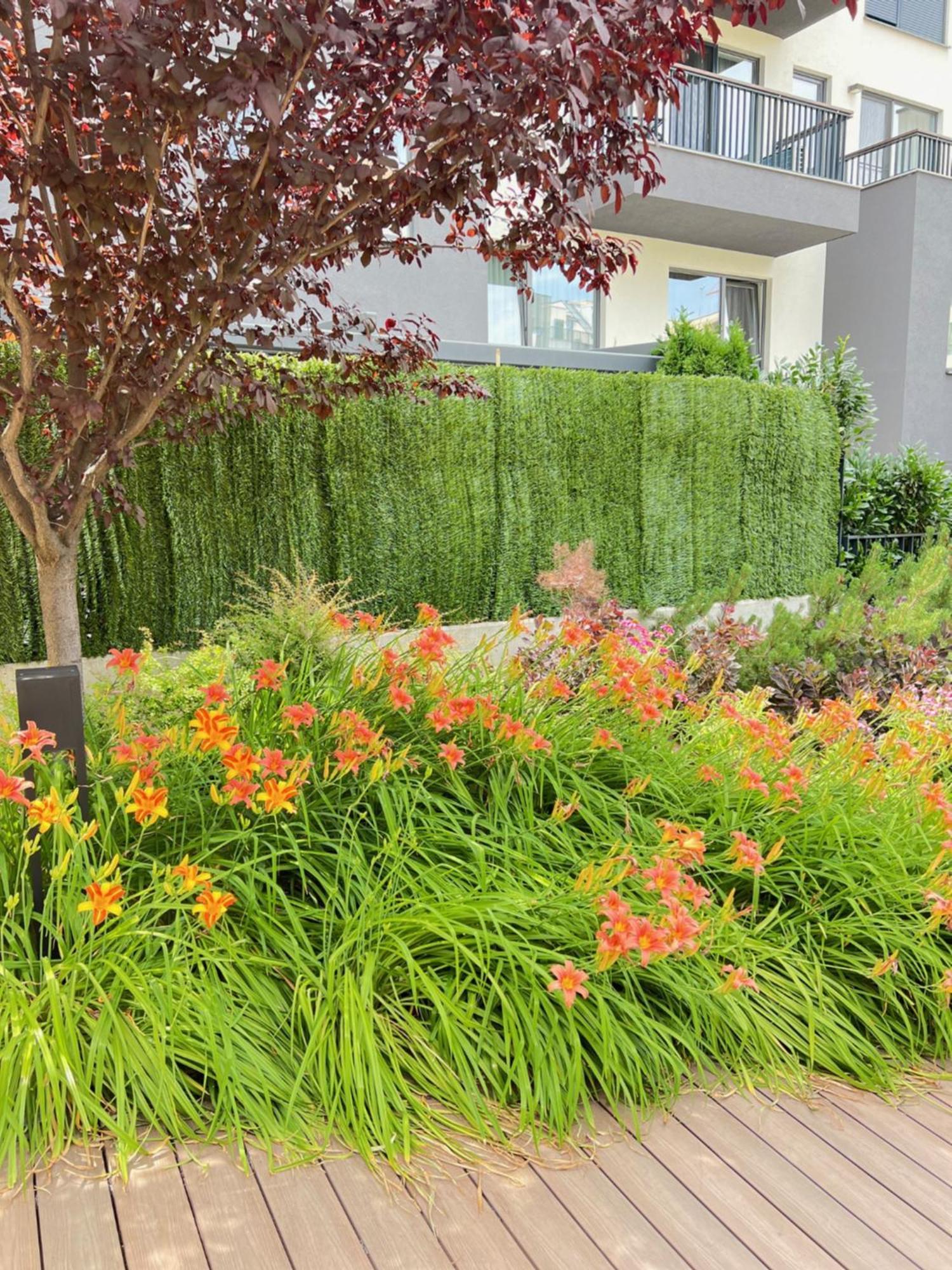 סופיה Amaya Apartment מראה חיצוני תמונה